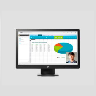HP Pro Displays